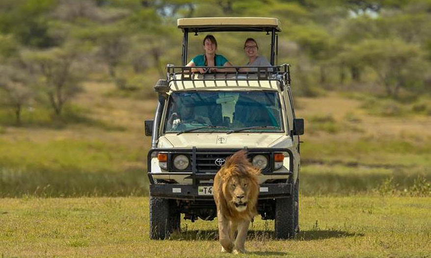 safari-tanzania-with-world-tour-safari
