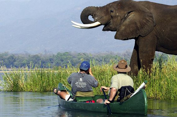 Tanzania Best Safari Experiences